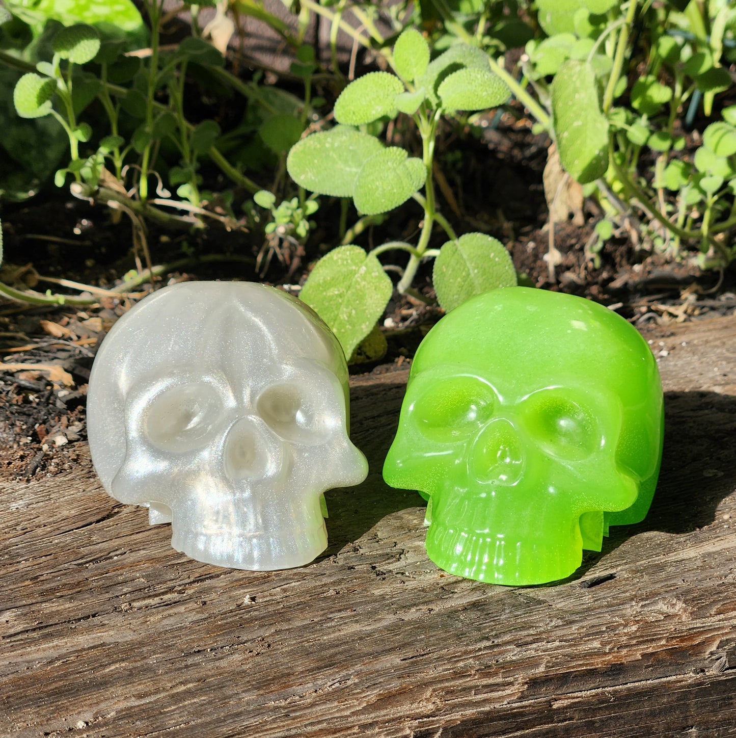 Skulls